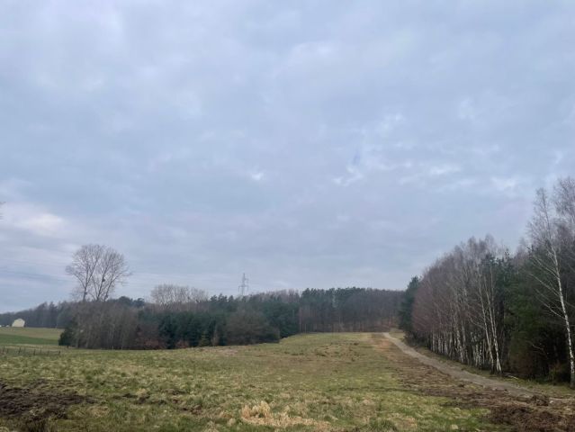Działka budowlana Czarnówko. Zdjęcie 1