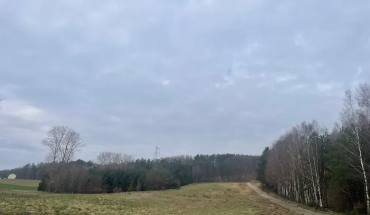 Działka budowlana Czarnówko