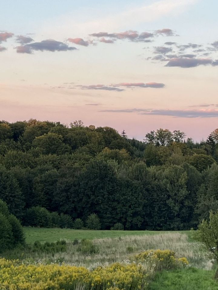 Działka budowlana Głobikowa. Zdjęcie 5