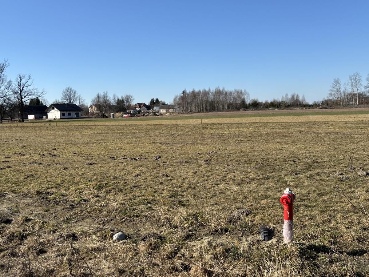 Działka rolno-budowlana Aleksandrów. Zdjęcie 8