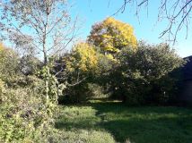 Działka siedliskowa Przybudki. Zdjęcie 3