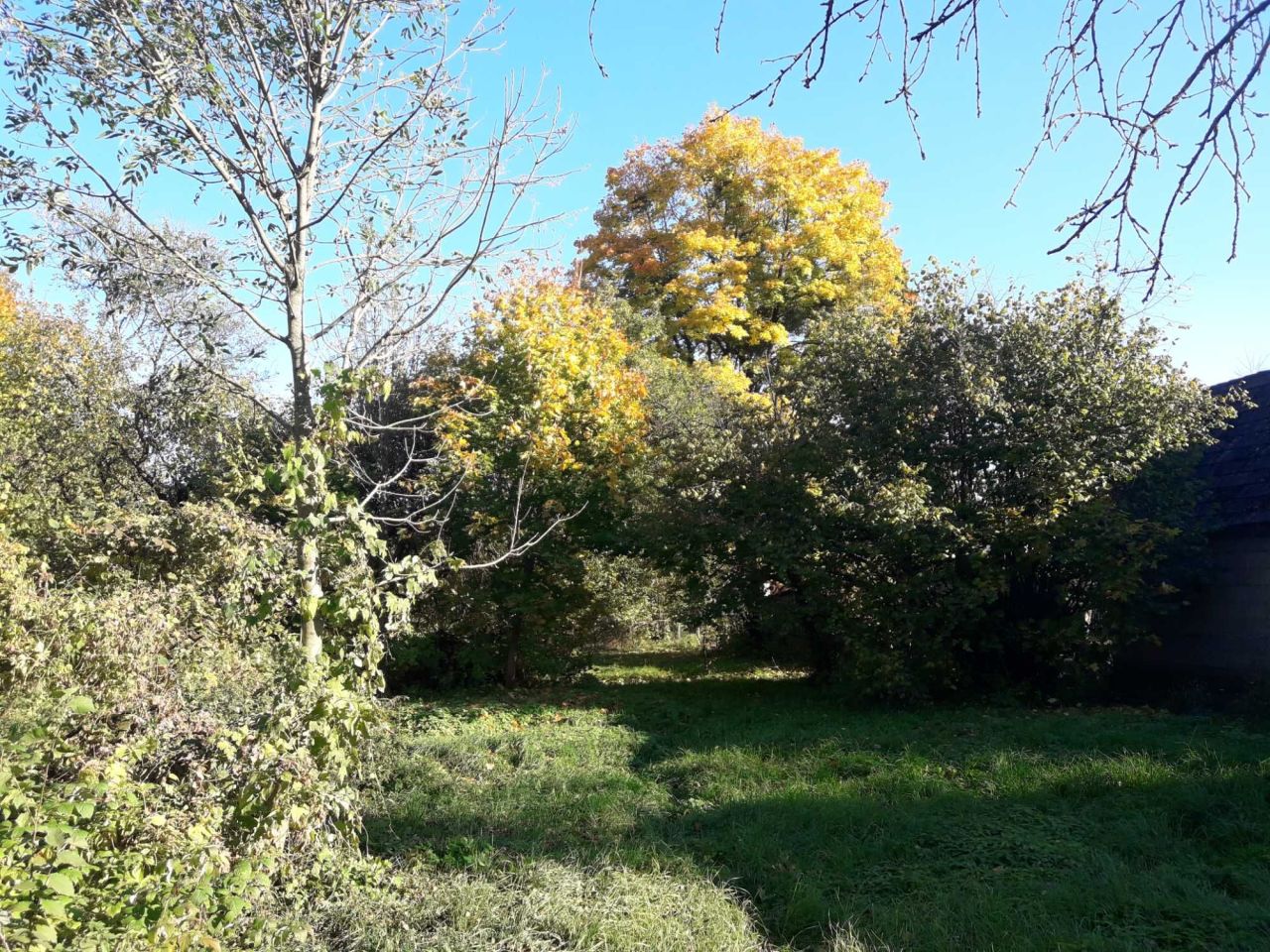 Działka siedliskowa Przybudki. Zdjęcie 4