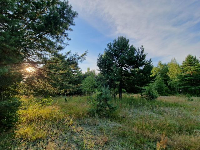 Działka rekreacyjna Orchówek, ul. Wesoła. Zdjęcie 1