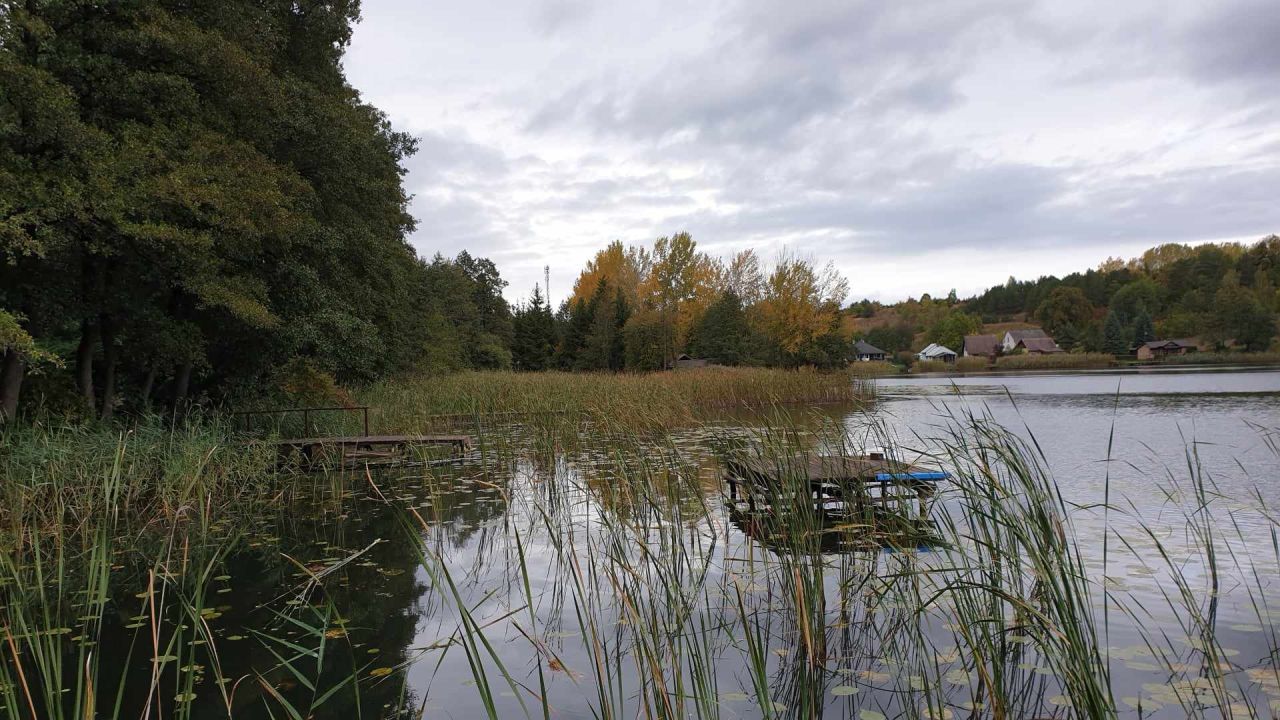 Działka rekreacyjna Kruszyny Szlacheckie. Zdjęcie 7