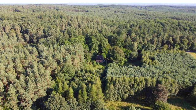 dom wolnostojący, 4 pokoje Nowe Dzieduszyce. Zdjęcie 1