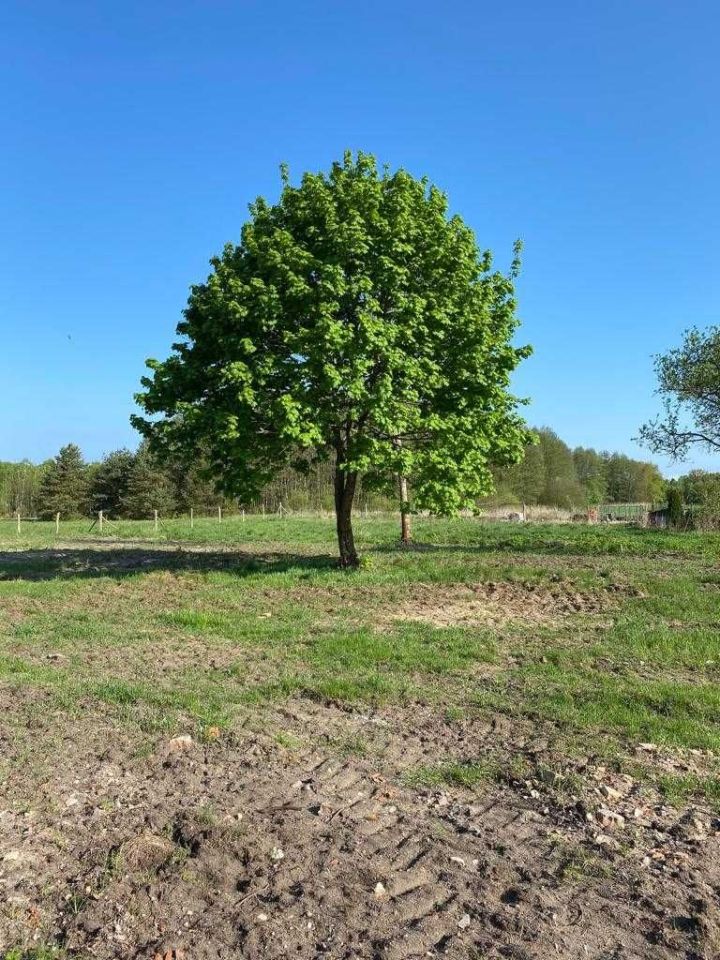 Działka budowlana Klempicz. Zdjęcie 2