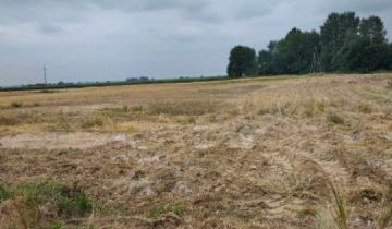 Działka budowlana Kuchnia