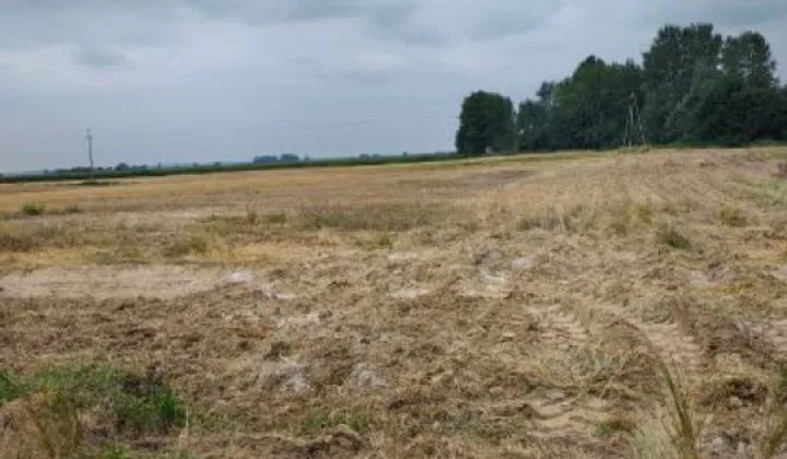 Działka budowlana Kuchnia