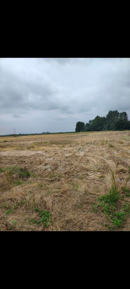 Działka budowlana Kuchnia