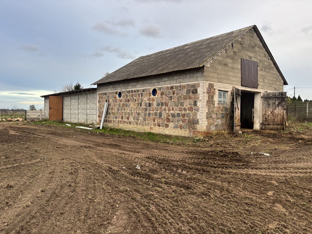 Hala/magazyn Żelechlin. Zdjęcie 2