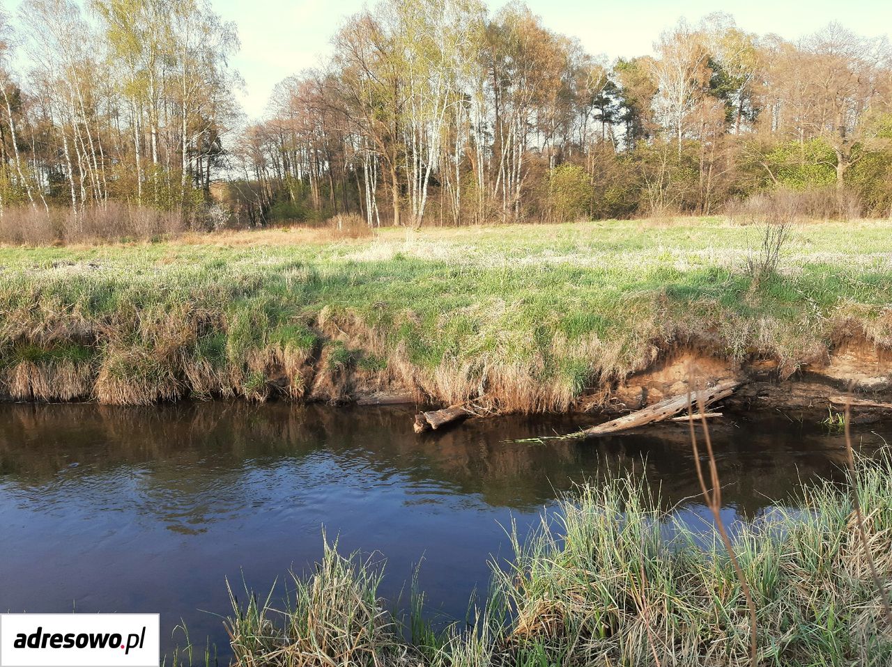 Działka rolna Lefranów. Zdjęcie 4