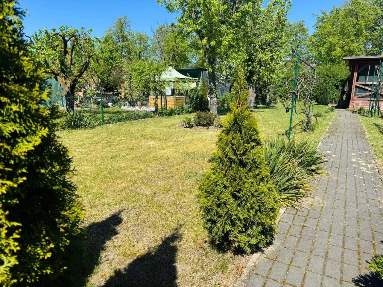 Działka rod Szamotuły, ul. Sportowa. Zdjęcie 3