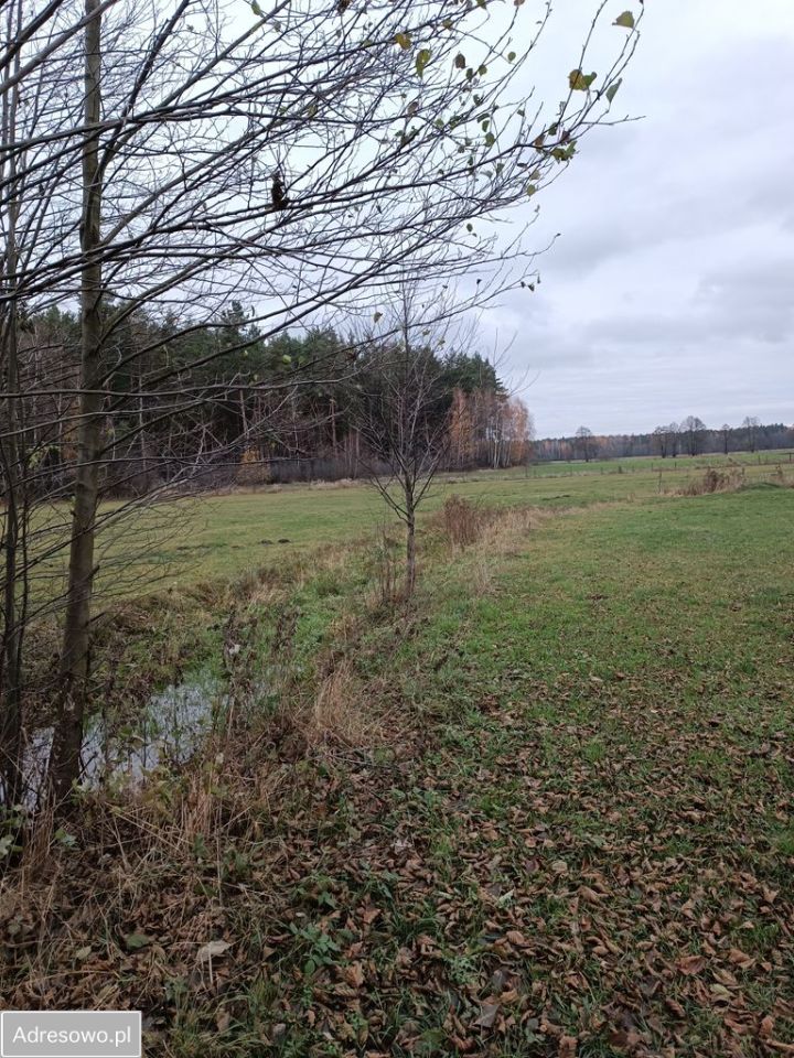 Działka rolna Filochy. Zdjęcie 4
