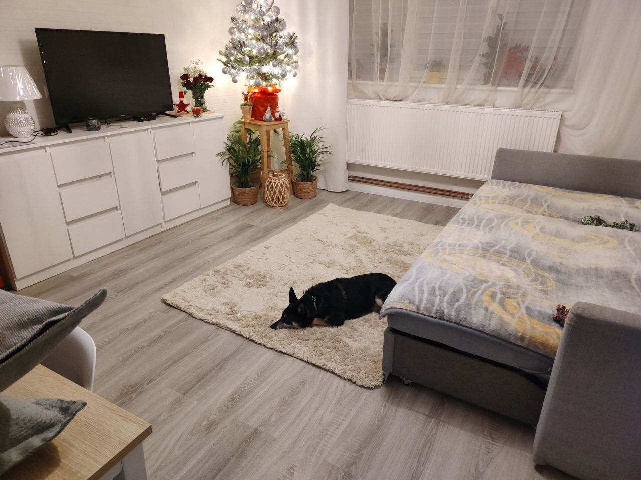 Mieszkanie 1-pokojowe Wardyń Dolny. Zdjęcie 7