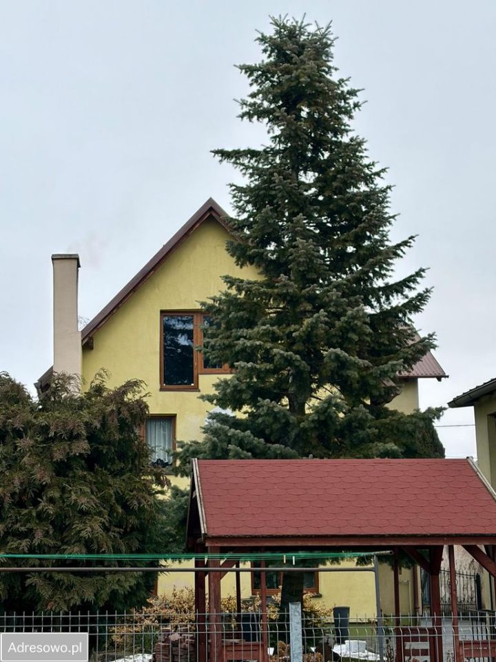 dom wolnostojący, 5 pokoi Kietrz. Zdjęcie 12