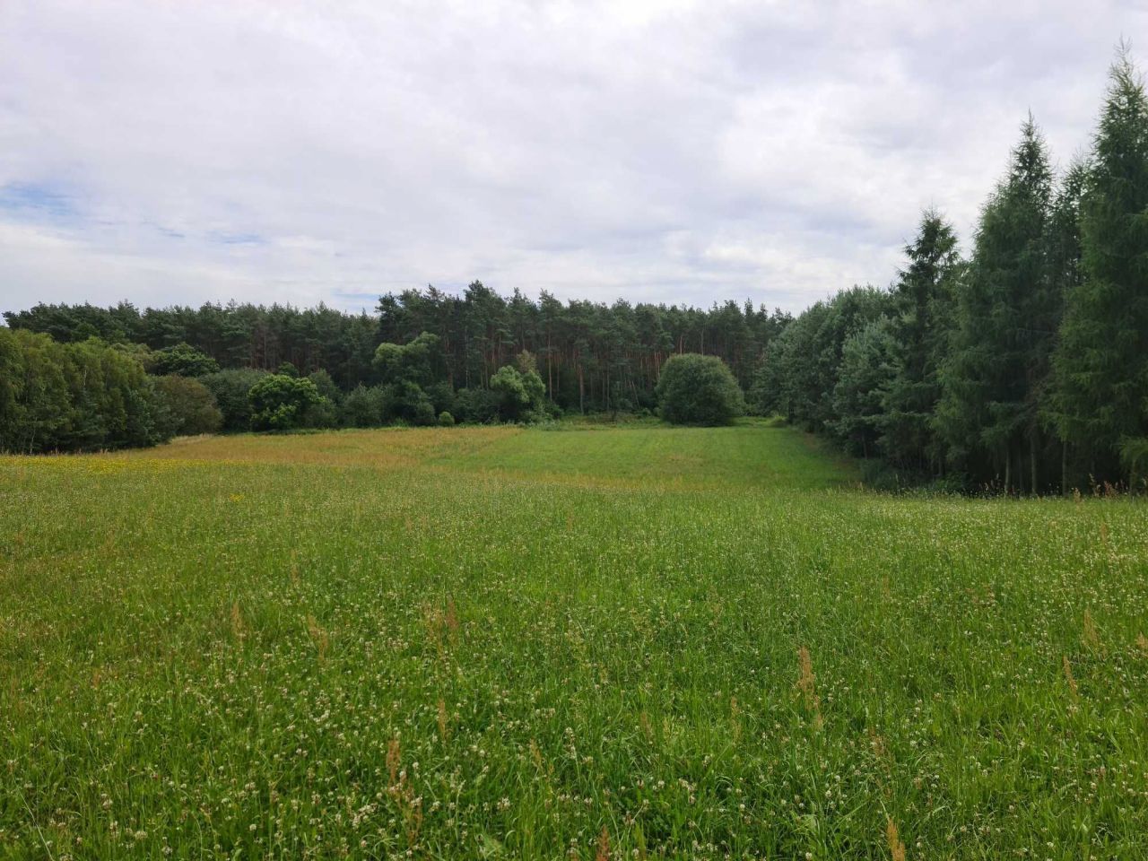 Lokal Stolec. Zdjęcie 10