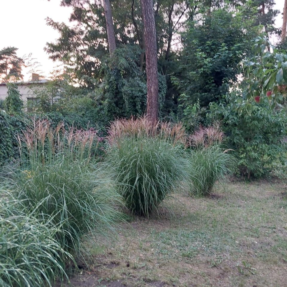 dom wolnostojący, 3 pokoje Łask Kolumna, ul. Lubelska. Zdjęcie 7