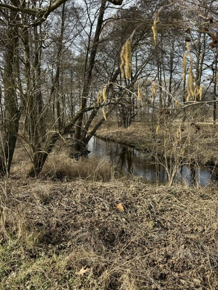 Działka rekreacyjna Świerzno. Zdjęcie 3