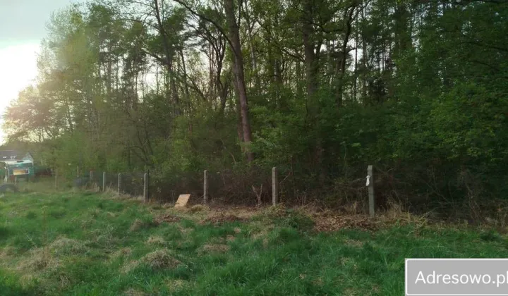 Działka rod Goleniów, ul. Polna
