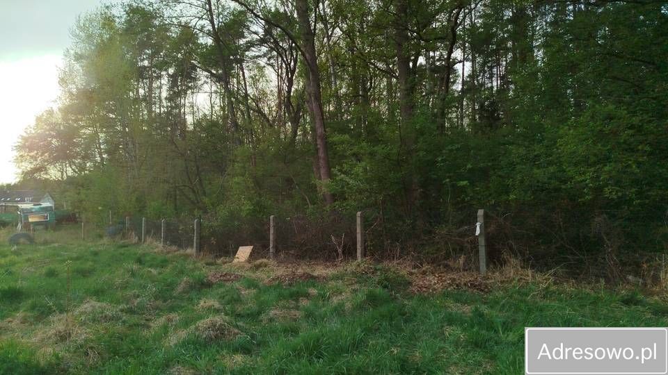 Działka rod Goleniów, ul. Polna. Zdjęcie 1