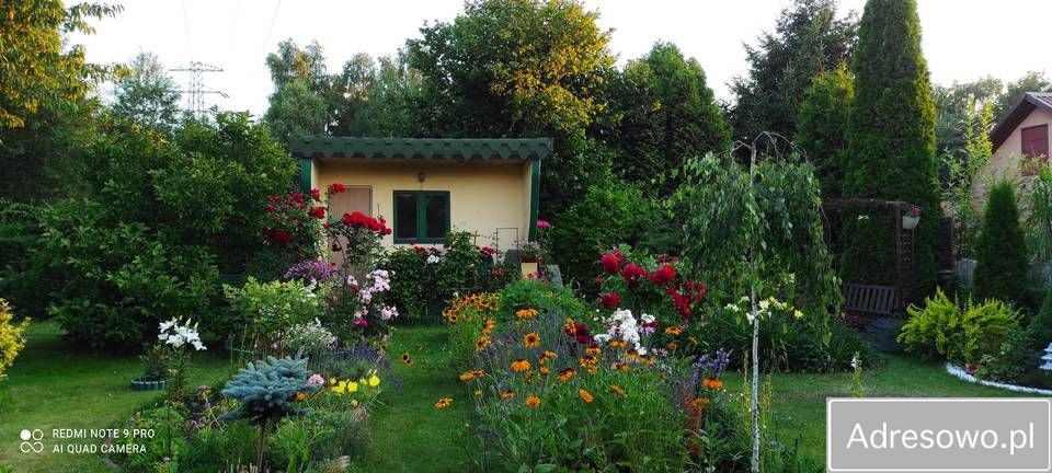 Działka rekreacyjna Sosnowiec Niwka, ul. Portowa