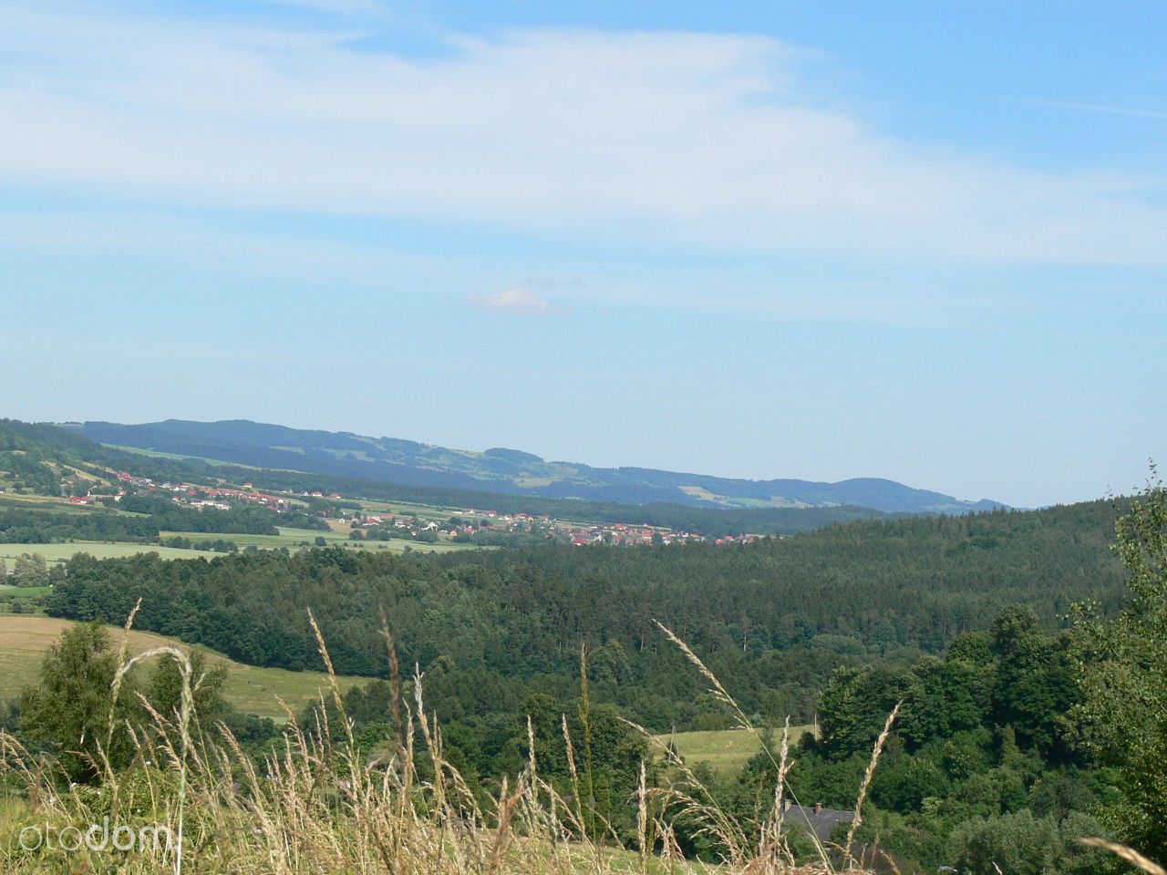 Działka rolna Siedlęcin. Zdjęcie 3