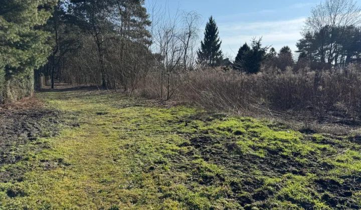 Działka budowlana Puszczykowo Puszczykówko, ul. Czarna. Zdjęcie 3