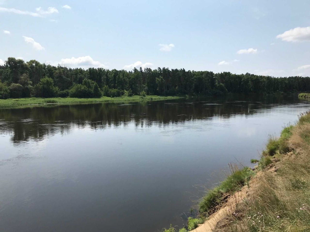 Działka rekreacyjna Stary Strachocin. Zdjęcie 4