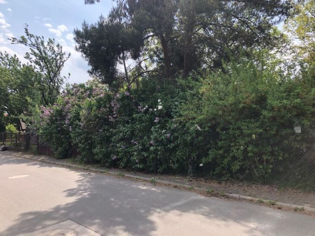 Działka budowlana Środa Wielkopolska, ul. Józefa Ignacego Kraszewskiego. Zdjęcie 1