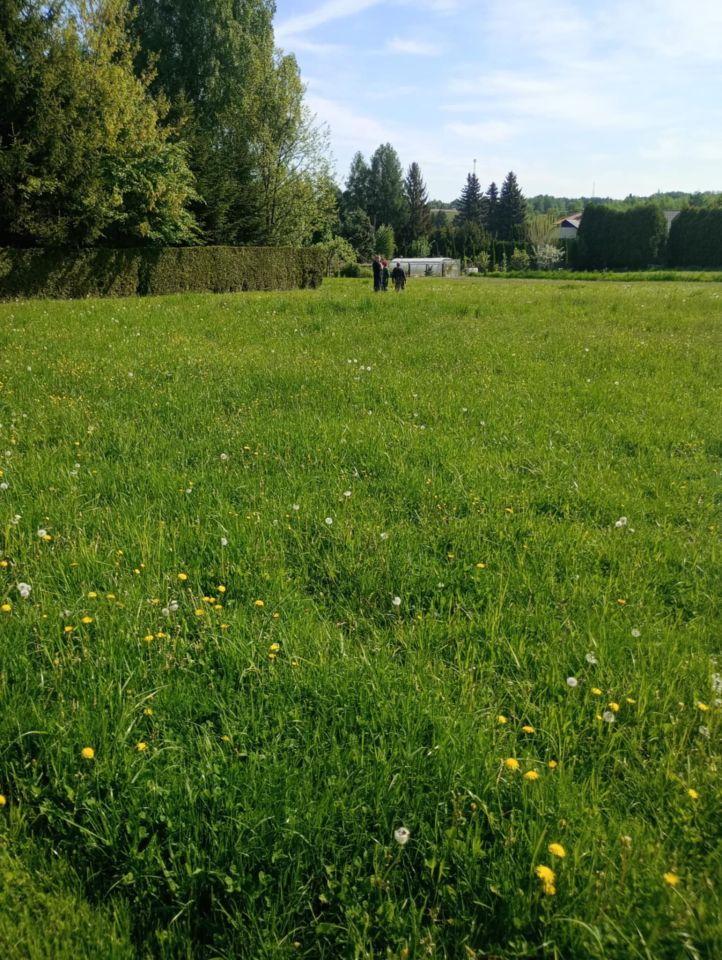 Działka rolno-budowlana Jedlicze Męcinka, ul. Jesionowa. Zdjęcie 8