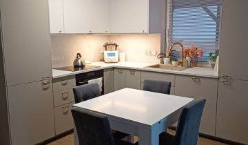 bliźniak Grzędzice