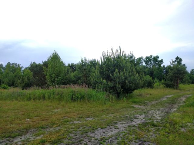 Działka budowlana Krzaki Czaplinkowskie, ul. Główna. Zdjęcie 1