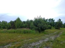 Działka budowlana Krzaki Czaplinkowskie, ul. Główna