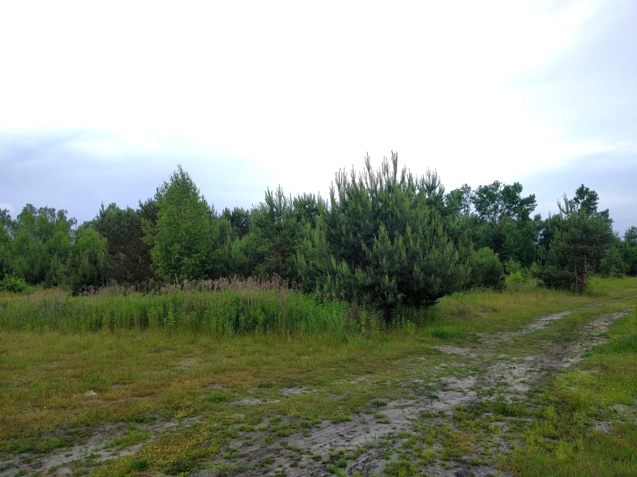 Działka budowlana Krzaki Czaplinkowskie, ul. Główna