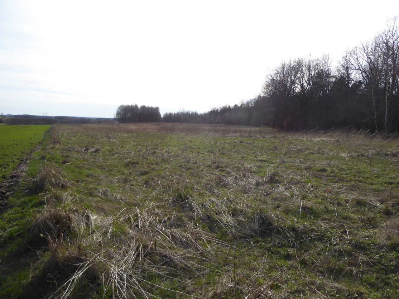 Działka rekreacyjna Koclin. Zdjęcie 3