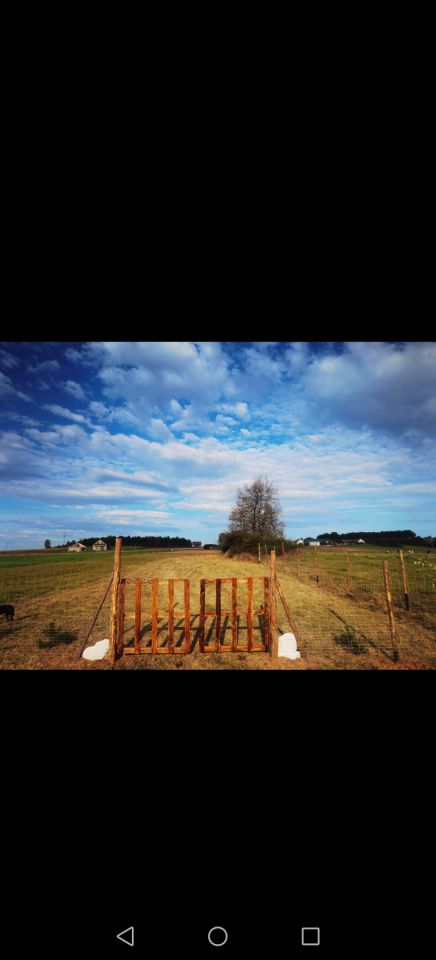 Działka budowlana Lasocin. Zdjęcie 7