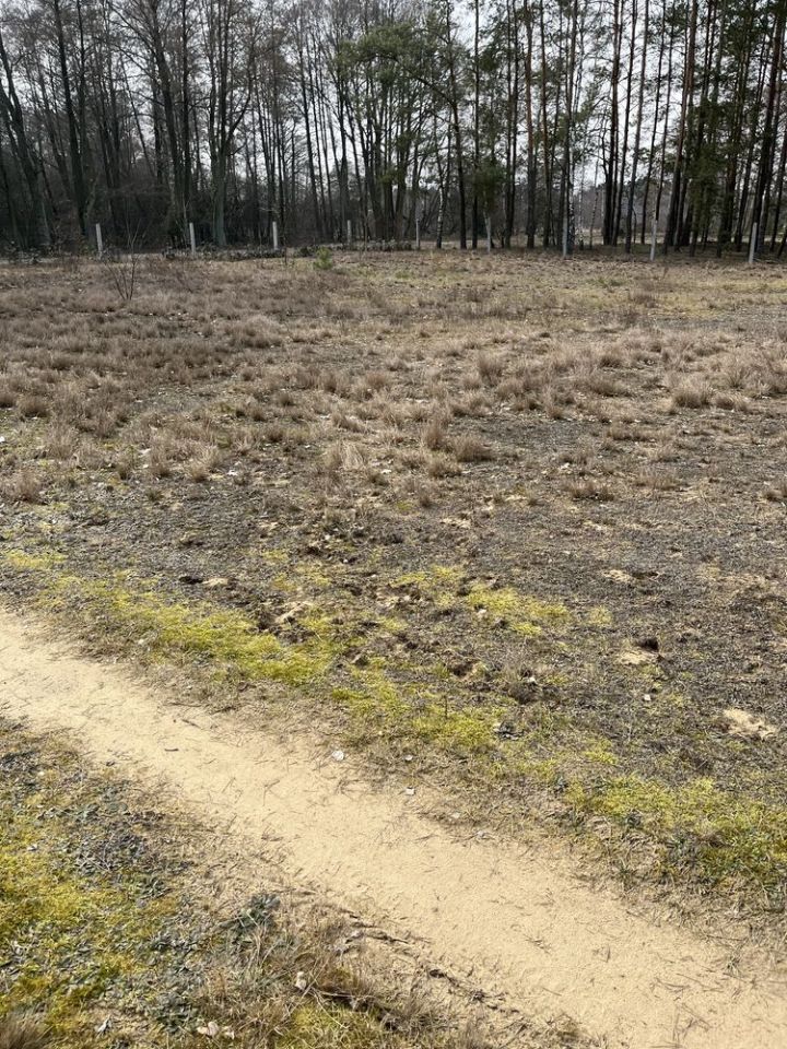 Działka rekreacyjna Łazy. Zdjęcie 5