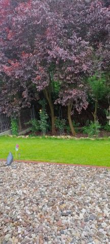 bliźniak, 4 pokoje Wolany. Zdjęcie 8