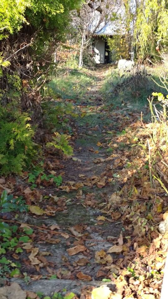 Działka rod Elbląg Bielany. Zdjęcie 4