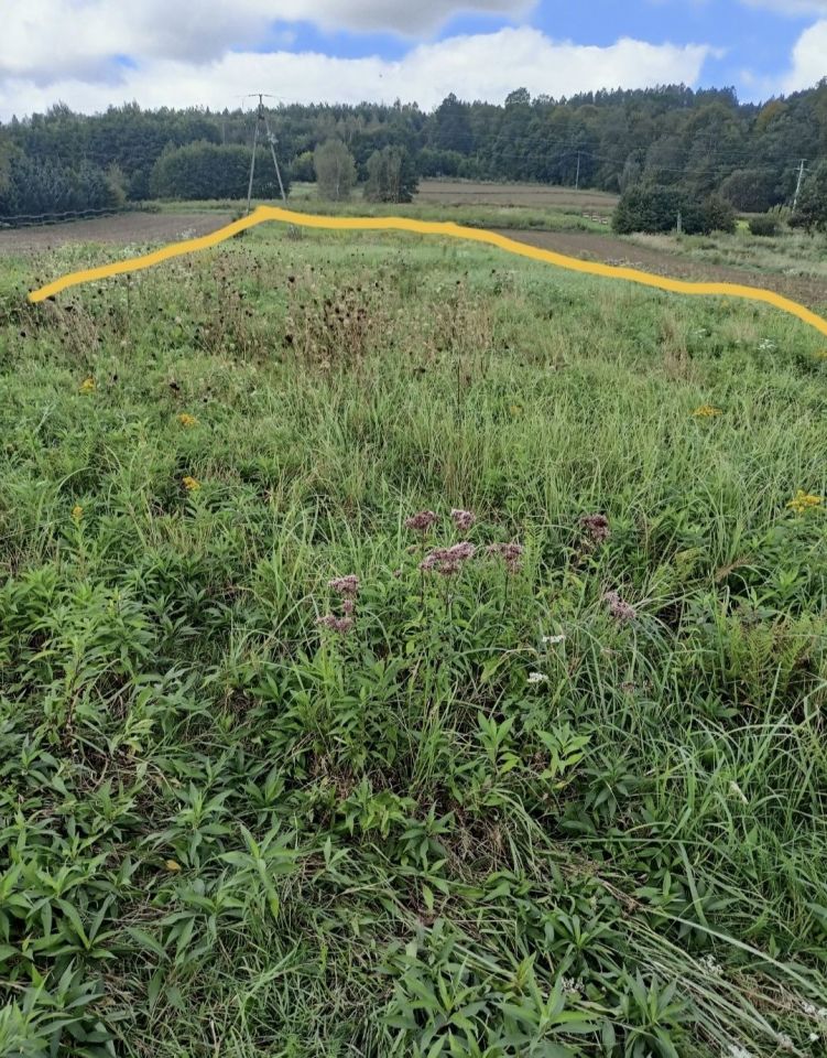 Działka budowlana Słonne. Zdjęcie 3