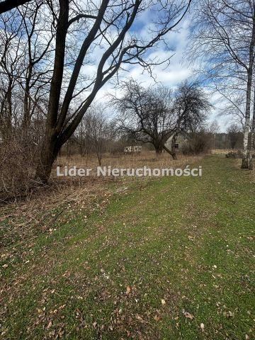 Działka rolno-budowlana Grzeszyn. Zdjęcie 2