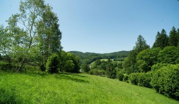Działka budowlana Orłowiec