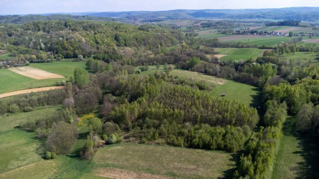 Działka rolna Laskówka. Zdjęcie 4