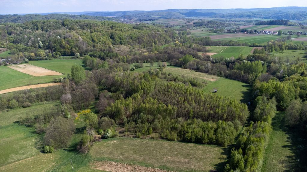 Działka rolna Laskówka. Zdjęcie 4