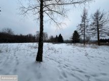 Działka budowlana Chylice, ul. Chłodna