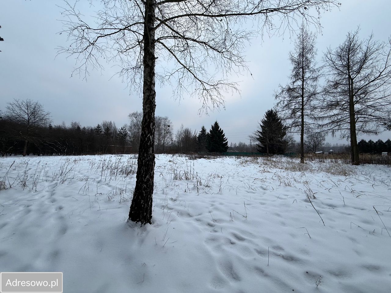 Działka budowlana Chylice, ul. Chłodna