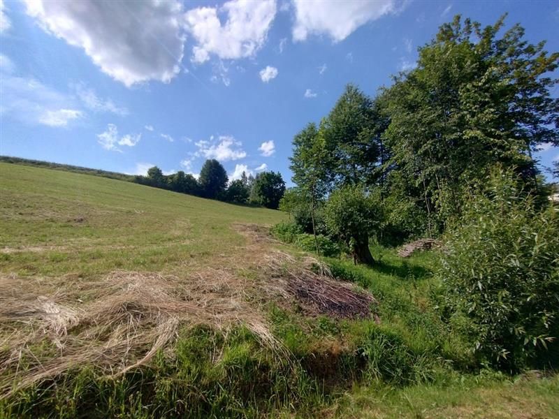 Działka rekreacyjna Binarowa Maślakowice, Maślakoice. Zdjęcie 7