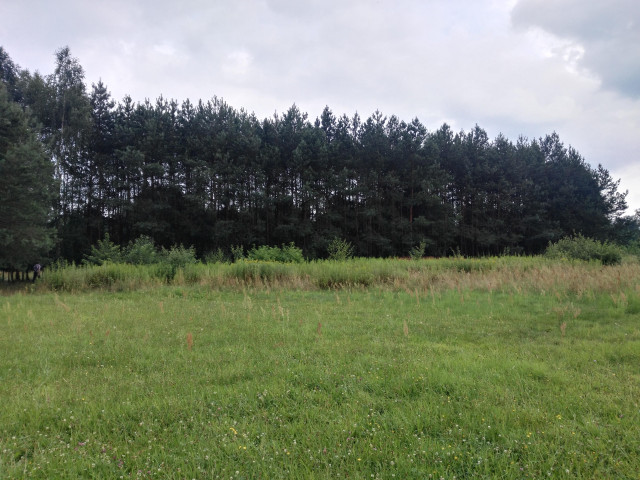 Działka rolno-budowlana Wólka Tanewska. Zdjęcie 1