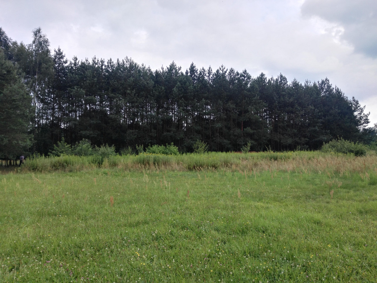 Działka rolno-budowlana Wólka Tanewska