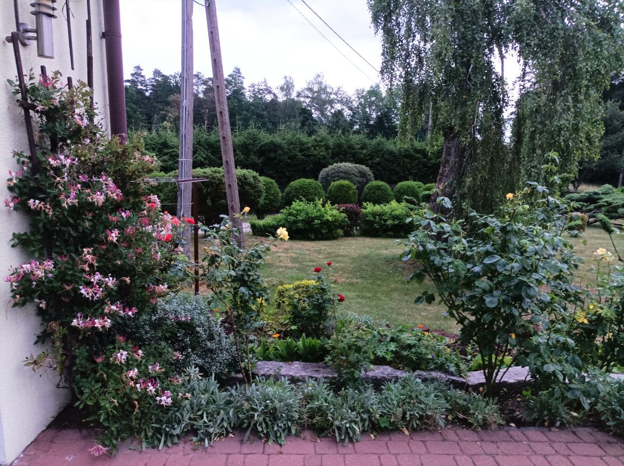 dom wolnostojący, 6 pokoi Młynowo. Zdjęcie 7